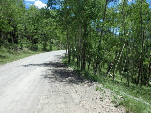 GDMBR: Climbing south on NF-250.